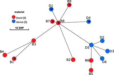 Comparative Genomic Reveals Clonal Heterogeneity in Persistent Staphylococcus aureus Infection